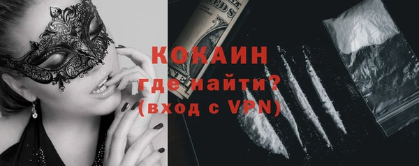 гашик Инсар