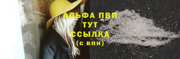 гашик Инсар