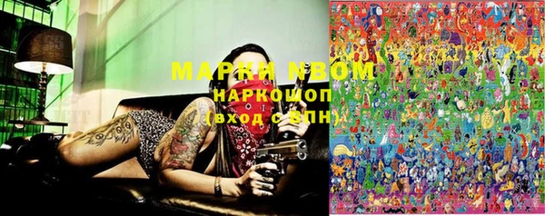 молекула духа Иннополис