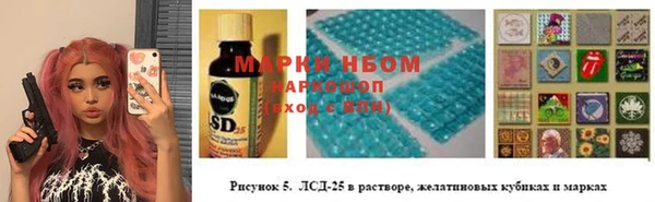 гашик Инсар