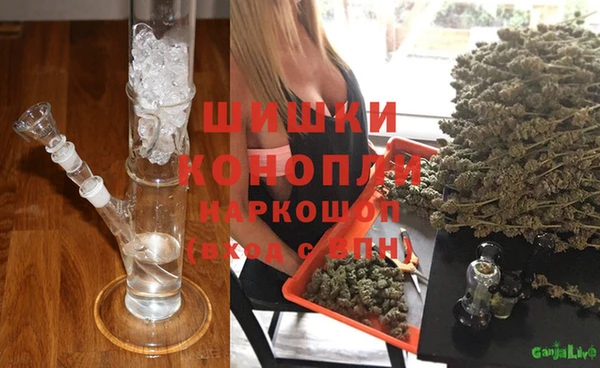 молекула духа Иннополис