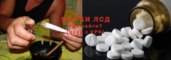 гашик Инсар