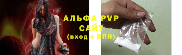 гашик Инсар