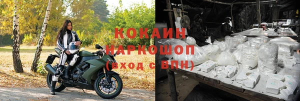 гашик Инсар