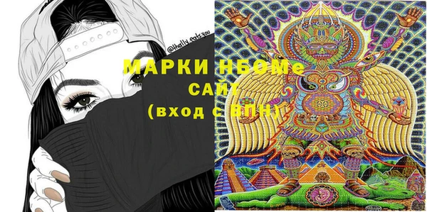 гашик Инсар