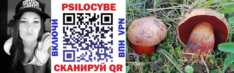 Купить закладки  Калининск  Псилоцибиновые грибы Magic Shrooms 